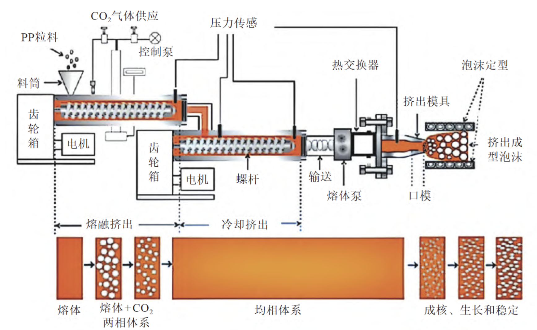 挤出发泡示意图.png
